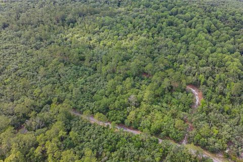 Land in Fanning Springs, Florida № 2102664 - photo 17