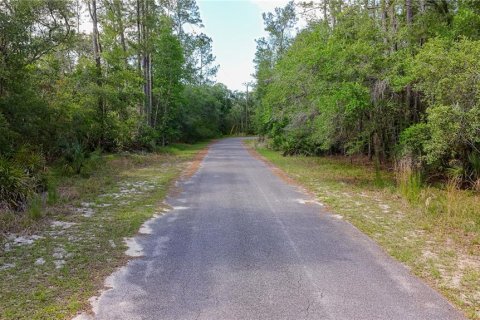 Land in Fanning Springs, Florida № 2102664 - photo 9