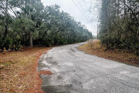 Land in Fanning Springs, Florida № 2102664 - photo 16