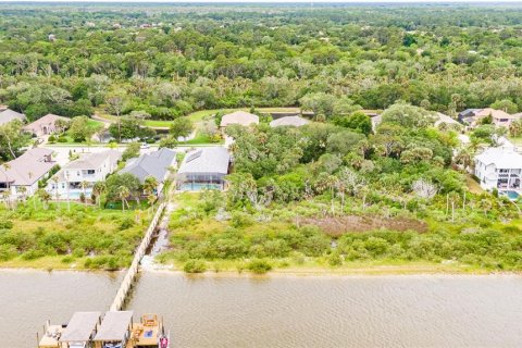 Land in Palm Coast, Florida № 1191600 - photo 10