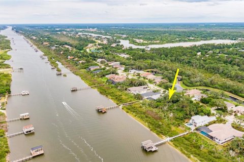 Land in Palm Coast, Florida № 1191600 - photo 17