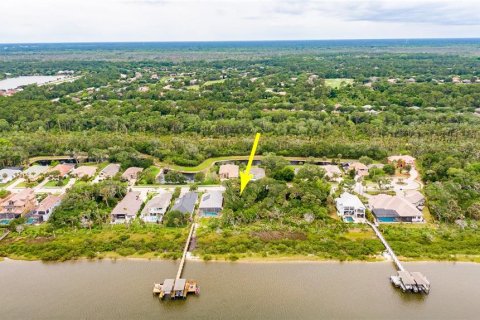 Land in Palm Coast, Florida № 1191600 - photo 21