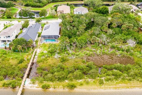 Land in Palm Coast, Florida № 1191600 - photo 9