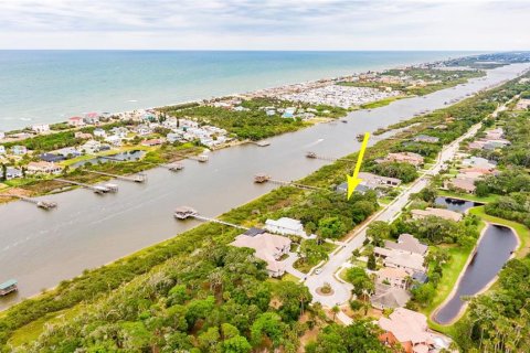 Land in Palm Coast, Florida № 1191600 - photo 19