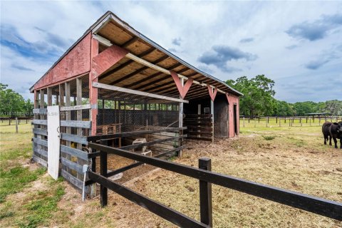 Casa en venta en Ocala, Florida, 3 dormitorios № 1937102 - foto 16