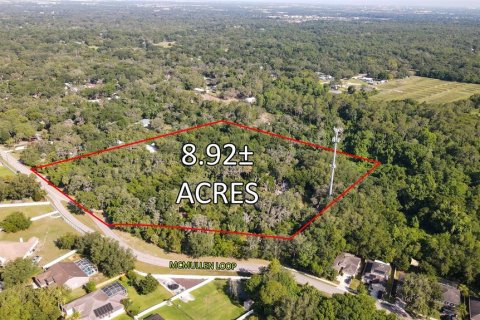 Land in Riverview, Florida № 1564396 - photo 4