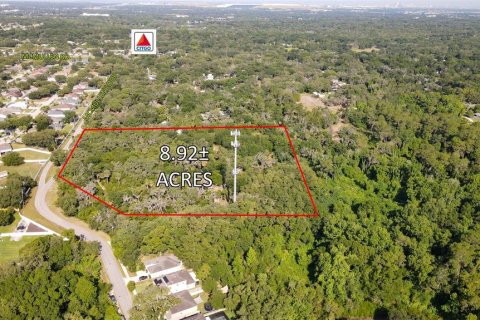 Land in Riverview, Florida № 1564396 - photo 3