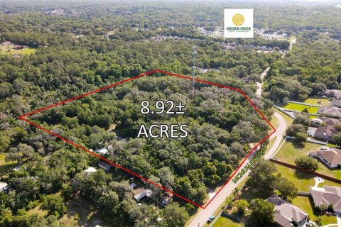 Land in Riverview, Florida № 1564396 - photo 2