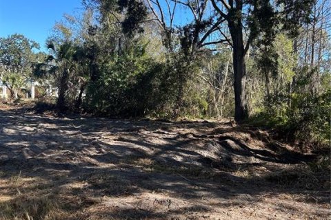 Terrain à vendre à Tampa, Floride № 2106863 - photo 3