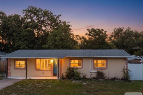 Casa en Mount Dora, Florida 4 dormitorios, 135.17 m2 № 2148600