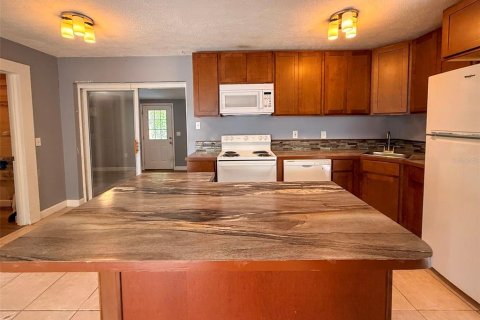 Casa en venta en Mount Dora, Florida, 4 dormitorios, 135.17 m2 № 2148600 - foto 12