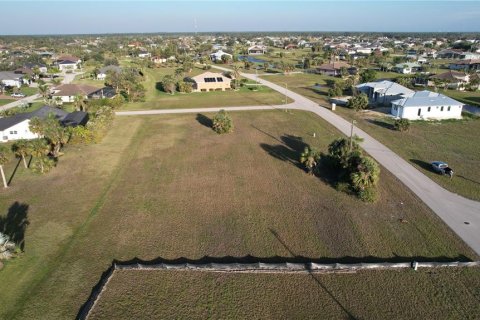 Land in Punta Gorda, Florida № 1427808 - photo 19