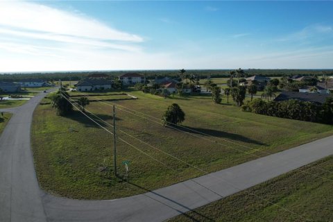 Land in Punta Gorda, Florida № 1427808 - photo 17