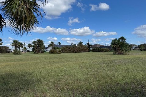 Land in Punta Gorda, Florida № 1427808 - photo 2