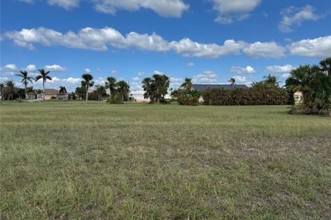 Land in Punta Gorda, Florida № 1427808 - photo 3