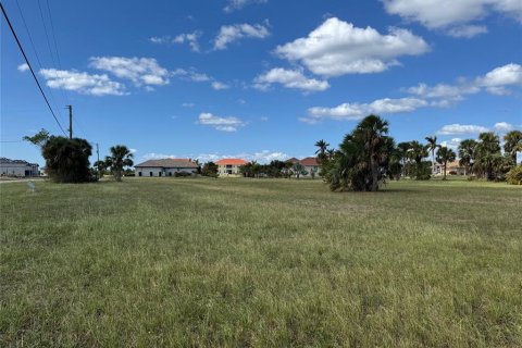Land in Punta Gorda, Florida № 1427808 - photo 4
