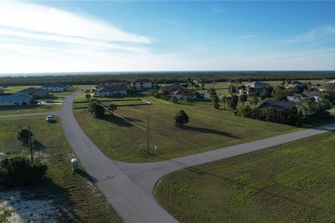 Land in Punta Gorda, Florida № 1427808 - photo 16