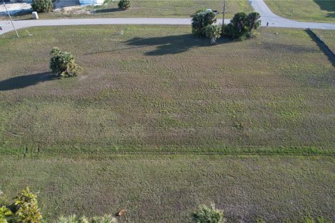 Land in Punta Gorda, Florida № 1427808 - photo 9