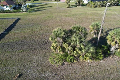 Land in Punta Gorda, Florida № 1427808 - photo 5