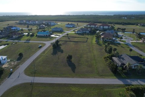 Land in Punta Gorda, Florida № 1427808 - photo 11