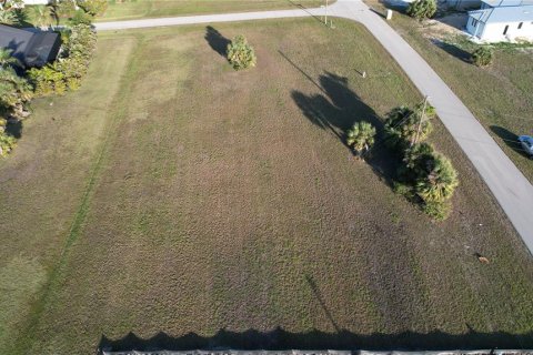 Land in Punta Gorda, Florida № 1427808 - photo 18