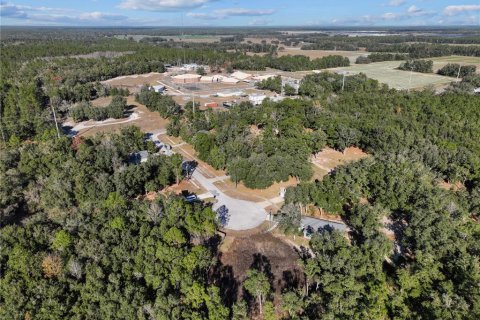 Land in Bronson, Florida № 2166156 - photo 11