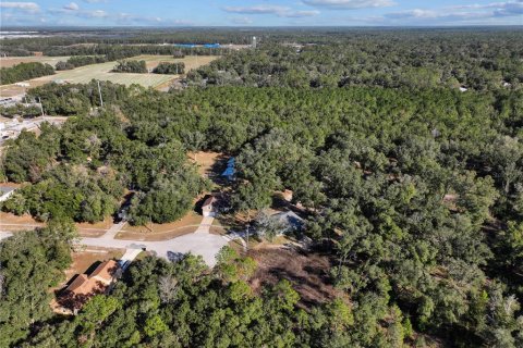 Land in Bronson, Florida № 2166156 - photo 10
