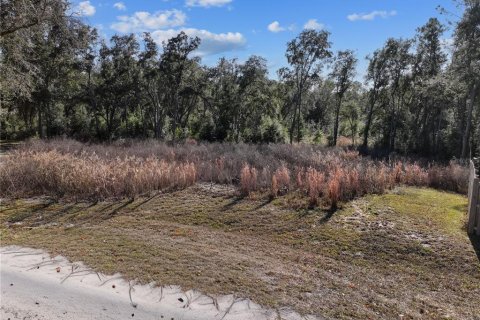 Land in Bronson, Florida № 2166156 - photo 4