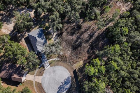 Land in Bronson, Florida № 2166156 - photo 6