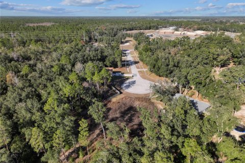 Land in Bronson, Florida № 2166156 - photo 7