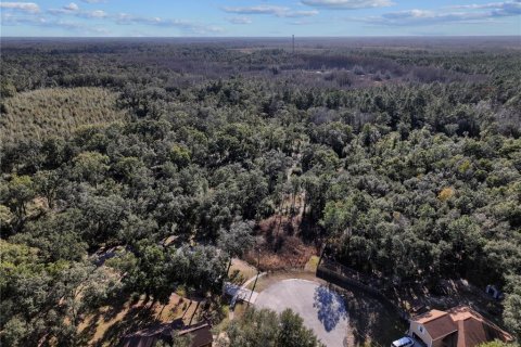 Land in Bronson, Florida № 2166156 - photo 8