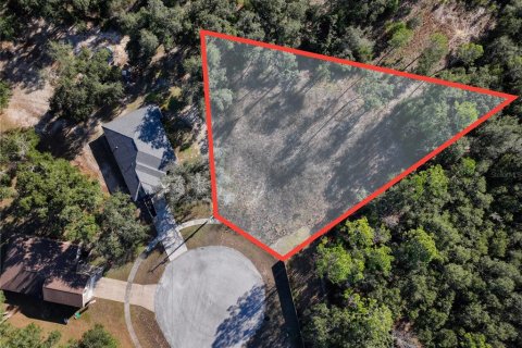 Land in Bronson, Florida № 2166156