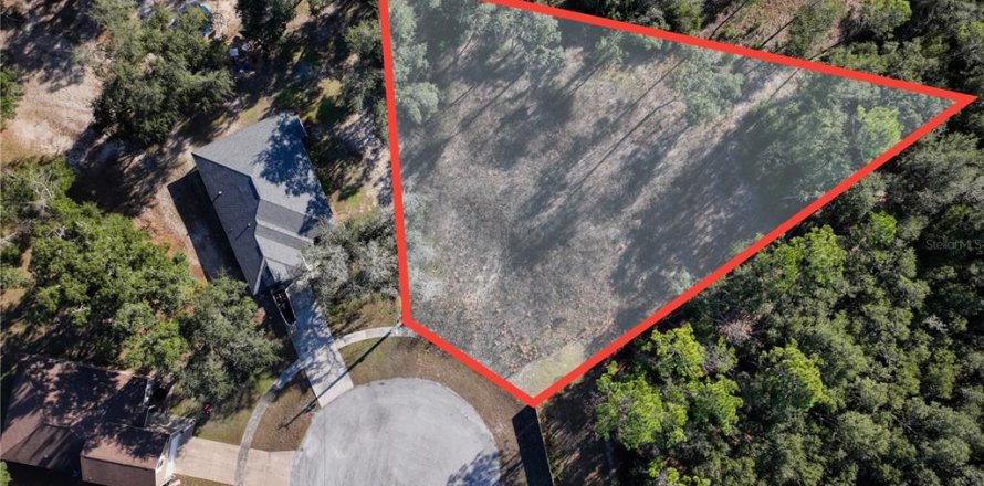 Land in Bronson, Florida № 2166156