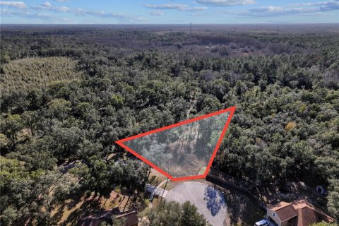 Land in Bronson, Florida № 2166156 - photo 3