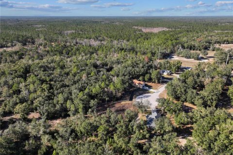 Land in Bronson, Florida № 2166156 - photo 9