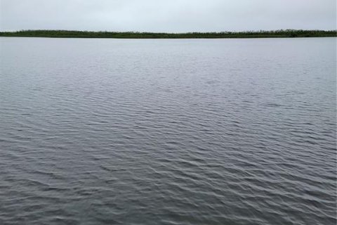 Terreno en venta en Port Charlotte, Florida № 227169 - foto 6