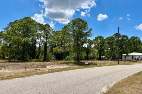 Land in Lake Placid, Florida № 2161274