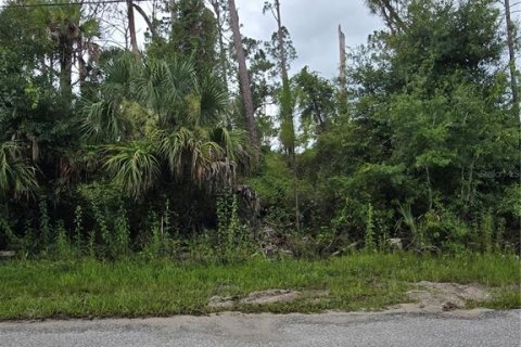 Terrain à North Port, Floride № 2275605
