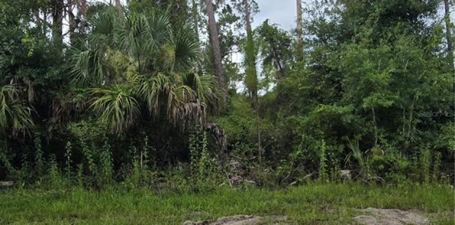 Terrain à North Port, Floride № 2275605
