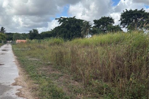 Immobilier commercial à vendre à Miami, Floride № 1983922 - photo 6