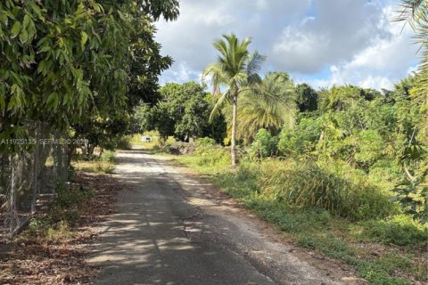Immobilier commercial à vendre à Miami, Floride № 1983922 - photo 11