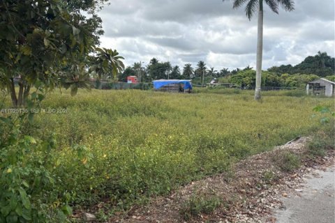 Immobilier commercial à vendre à Miami, Floride № 1983922 - photo 4