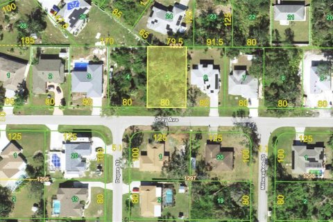 Land in Port Charlotte, Florida № 2228695 - photo 2