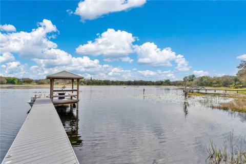 House in Winter Garden, Florida 4 bedrooms, 264.77 sq.m. № 1531397 - photo 3