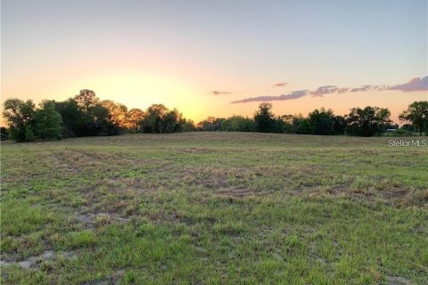 Terrain à Dunnellon, Floride № 2098647