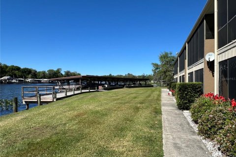 Condo in Astor, Florida, 2 bedrooms  № 1581854 - photo 17