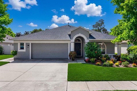 House in Brandon, Florida 4 bedrooms, 194.26 sq.m. № 2354731