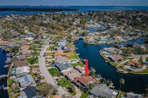 House in Saint Petersburg, Florida 3 bedrooms, 226.59 sq.m. № 1547067 - photo 8