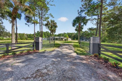 Villa ou maison à Ormond Beach, Floride 4 chambres, 248.51 m2 № 2437104