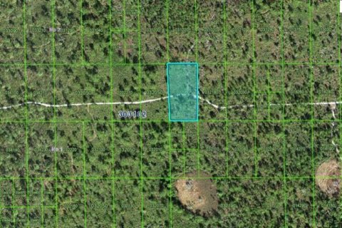 Terreno en Lake Wales, Florida № 2226948